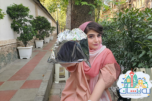 بابی ساندز برگر